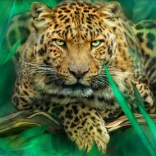 Схема вышивки «Леопард»