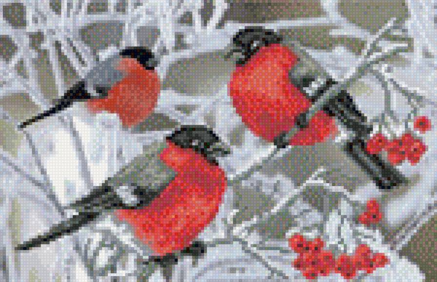 Снегири. Гамма.60 - предпросмотр