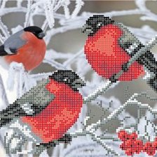 Схема вышивки «Снегири. Гамма.60»
