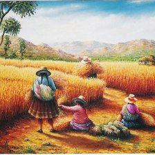 cosecha centroamerica