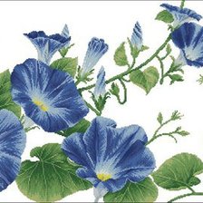 Схема вышивки «Вьюнок.»