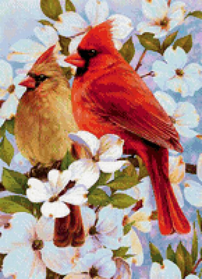 №826157 - предпросмотр