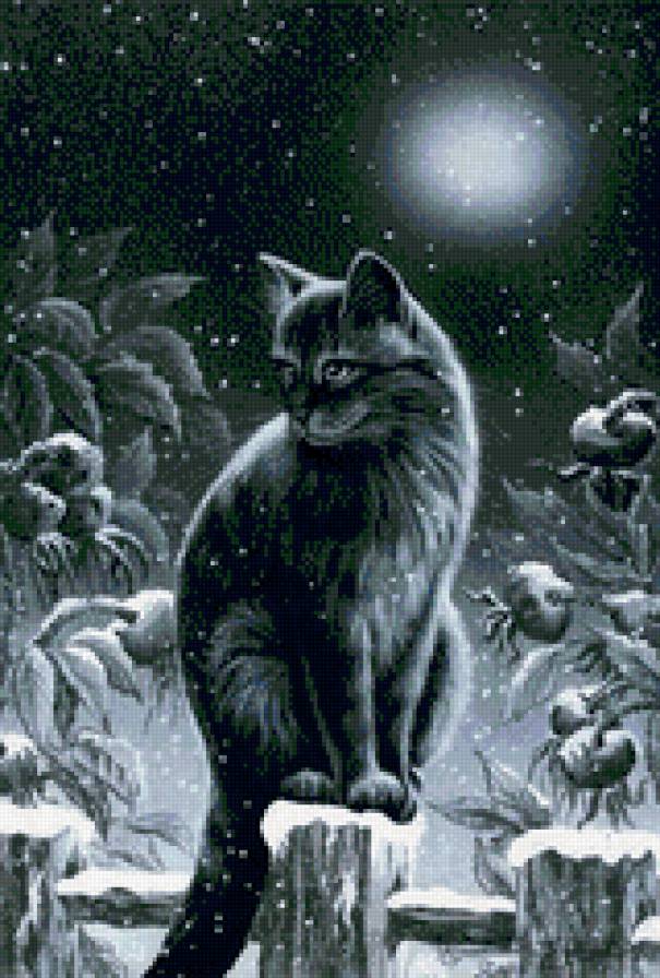 котейка - кот, ночь, природа кошка - предпросмотр