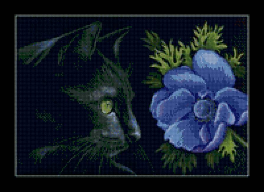 котейка - кот, цветок, природа кошка, ночь - предпросмотр