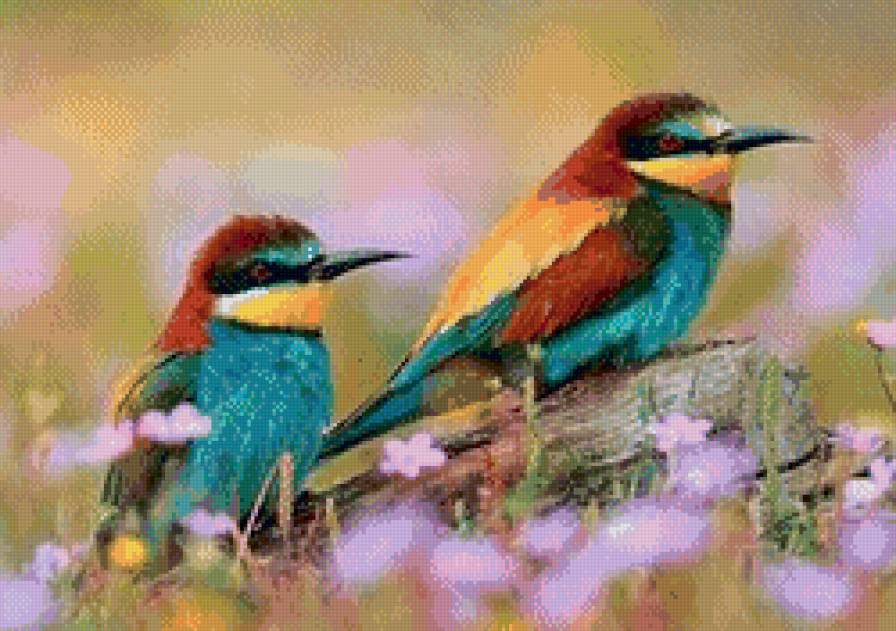 Птахи - птицы. - предпросмотр