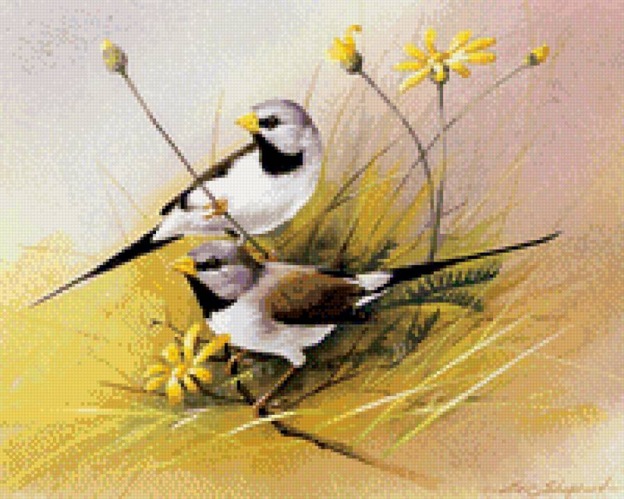 №826200 - предпросмотр