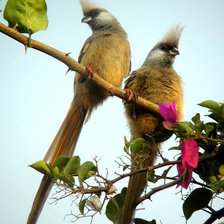 Схема вышивки «№826201»