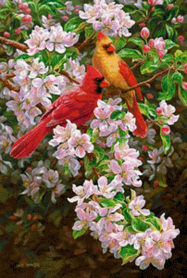 №826407 - предпросмотр