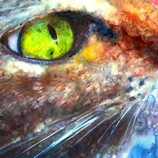 Схема вышивки «Акварельный кот»