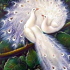 Схема вышивки «павлины»