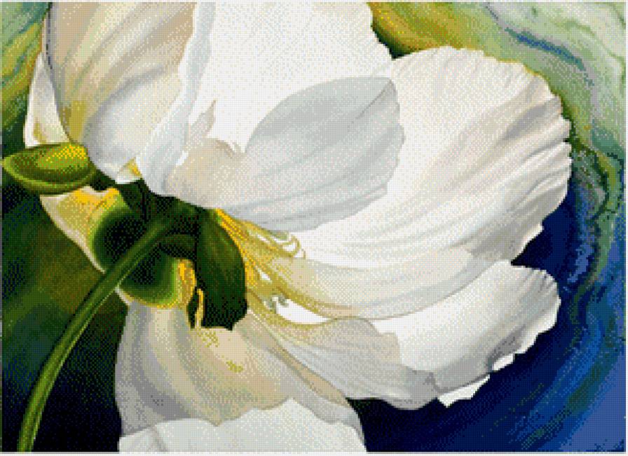 Подснежник - предпросмотр