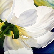 Подснежник