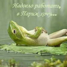 Схема вышивки «мечта»