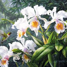 Схема вышивки «№826801»