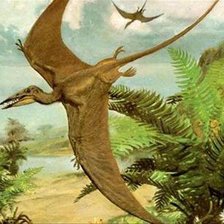 Схема вышивки «птеродактиль»