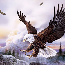 Схема вышивки «парящий орел»