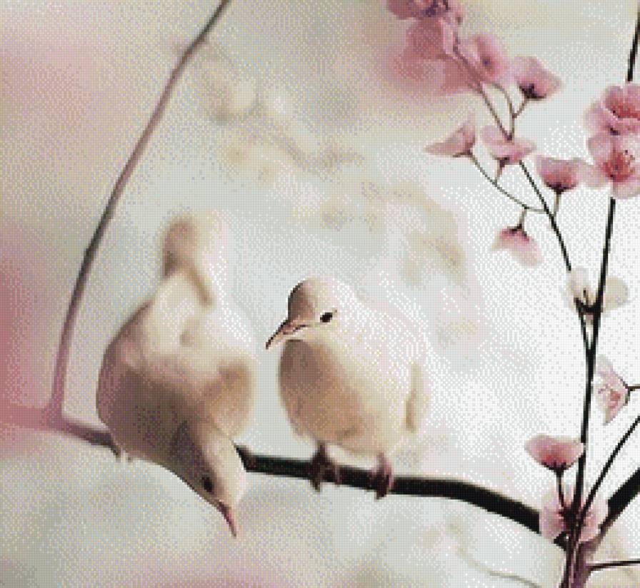 Пара - птицы, мечта - предпросмотр