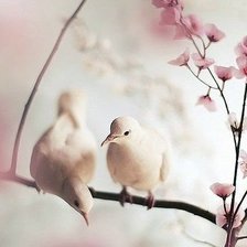 Схема вышивки «Пара»