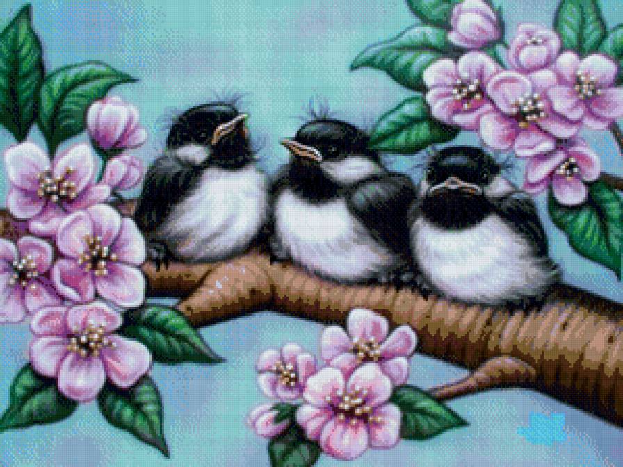 Птенцы - ветка, птицы, цветы, птичка - предпросмотр