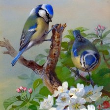 Схема вышивки «Птахи»