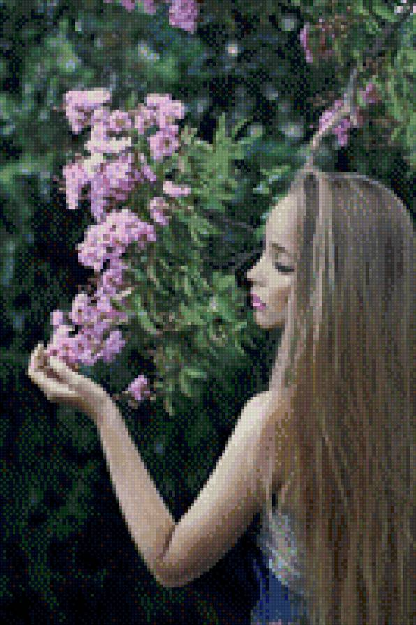 девушка - девушка, ливадия, цветы - предпросмотр