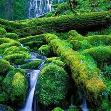 Схема вышивки «водопад в лесу»