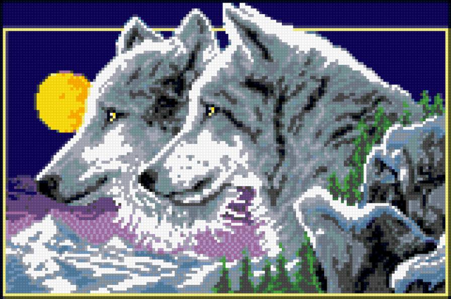 Пара волков 02 - ночь, пара, волки - предпросмотр