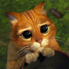 Схема вышивки «кот из шрека»