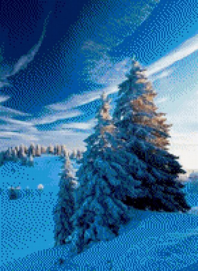 Ели - зима, снег, ель, дерево - предпросмотр