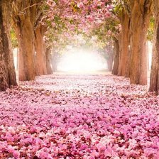 Схема вышивки «Цветение сакуры»