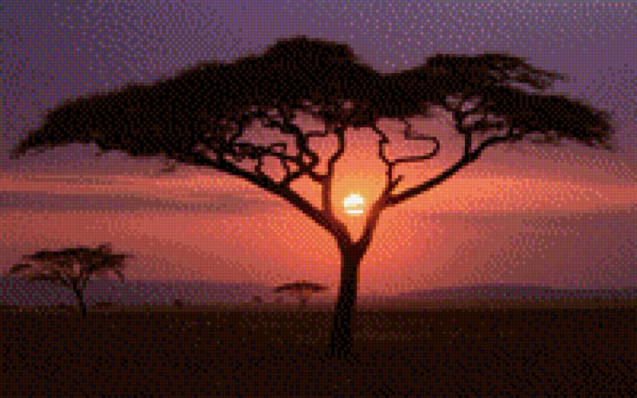 Африканское дерево - предпросмотр