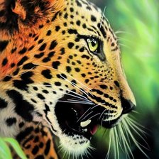 Схема вышивки «Леопард»