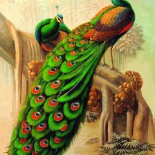 Схема вышивки «№827604»