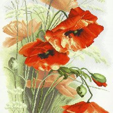 Схема вышивки «maki»