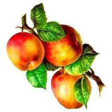 Схема вышивки «№827617»