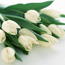 Схема вышивки «Цветы»