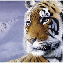 Схема вышивки «тигр»