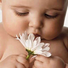 Схема вышивки «Малыш и ромашки»