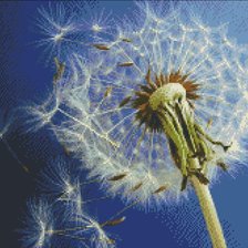 Схема вышивки «№827827»