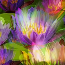 Схема вышивки «лотосы»