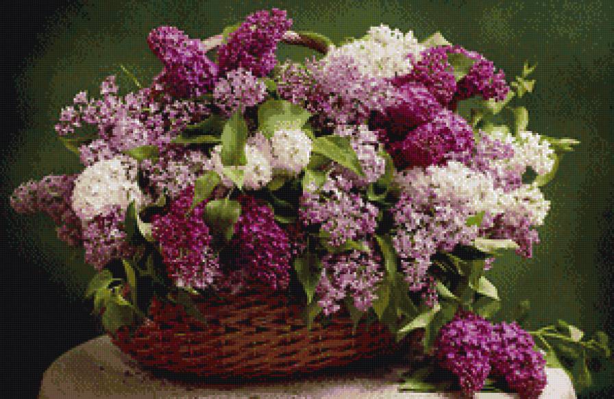 букет сирени - предпросмотр