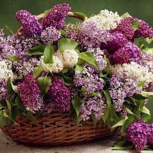 Схема вышивки «букет сирени»