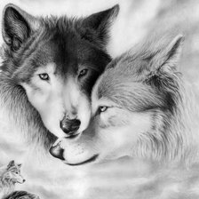 Схема вышивки «Волки»