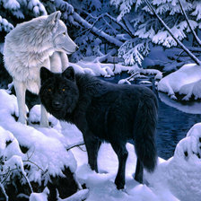 Схема вышивки «ЧерноБелое»