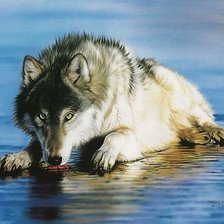 Схема вышивки «волк»