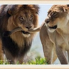 Схема вышивки «Супружеская пара»