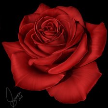 Схема вышивки «роза»