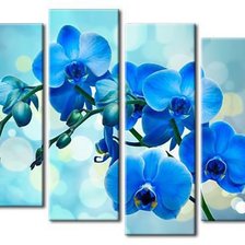 Схема вышивки «№828775»