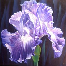 Схема вышивки «ирис»