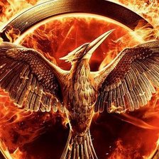 Схема вышивки «Mockingjay»
